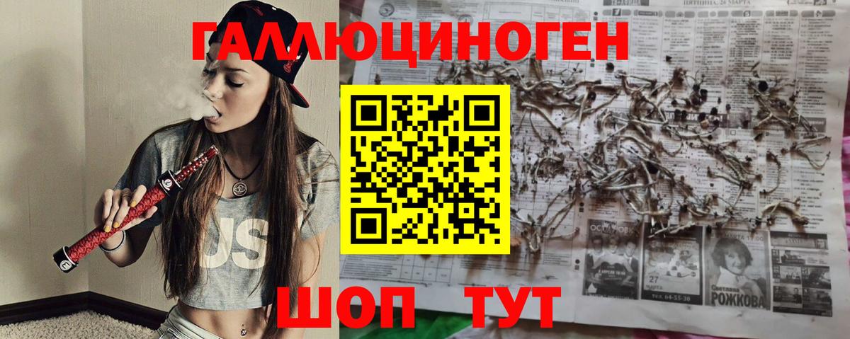 Кизляр  Псилоцибиновые грибы Cubensis  Вход с VPN 